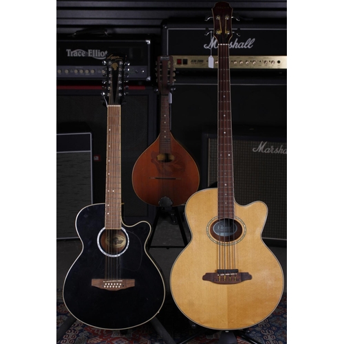 Aria Elecord FEB SPIN electro acoustic bass guitar together with