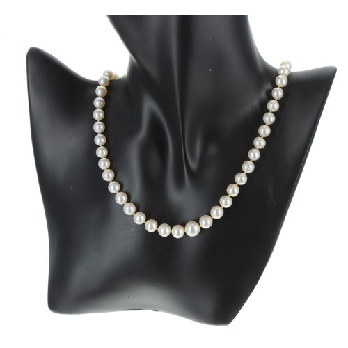 263 - Attractive cultured pearl graduated necklace with an elliptical diamond set clasp, the pearls gradua... 