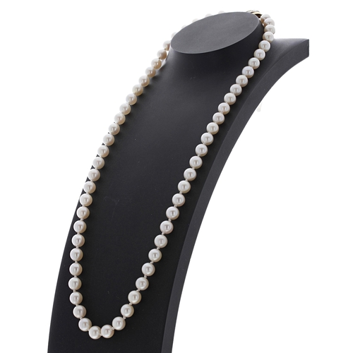 253 - String of cultured pearls with an 18ct clasp, 7mm, 28.6gm, 20