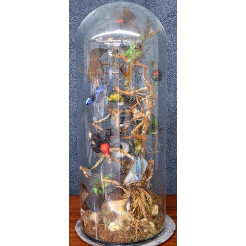 8 - Taxidermy group of sixteen small birds, displayed within simulated foliage and grasses on a rocky ef... 