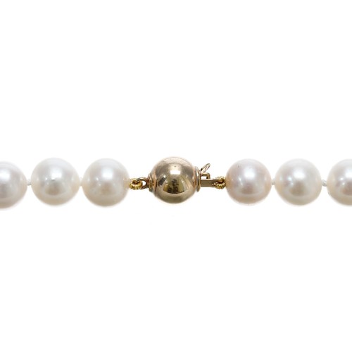 70 - Modern white cultured pearl strung necklace with 9ct yellow gold ball clasp, the pearls 8mm, 37.2gm,... 