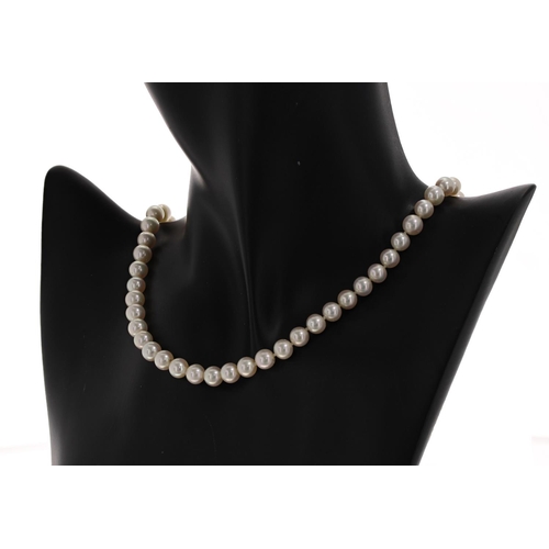 111 - Good cultured pearl necklace with a 14ct yellow gold clasp, the pearls of nice lustre 7mm approx, 55... 