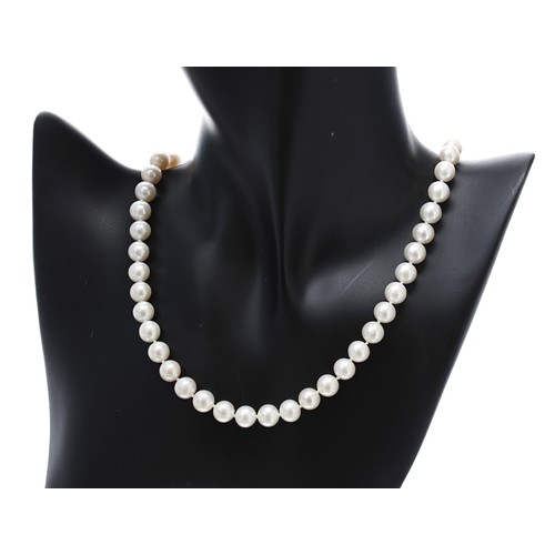 110 - Modern white cultured pearl strung necklace with 9ct yellow gold ball clasp, the pearls 8mm, 37.2gm,... 