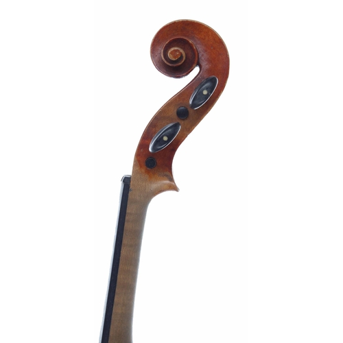 2462 - French violin circa 1925, the one piece back of fine curl with medium curl to the sides and the head... 