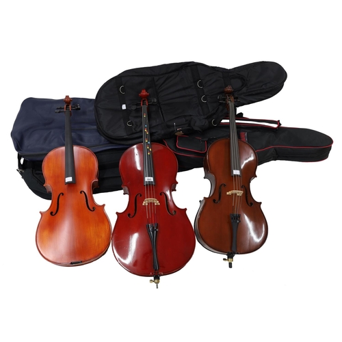 2502 - Modern half size violoncello, soft case; also a modern Hindersine Vivente half size violoncello, cas... 