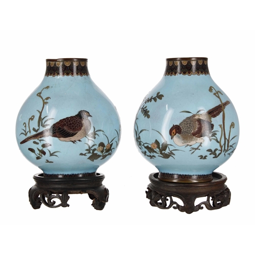 748 - Pair of Japanese cloisonné and jars decorated with birds among plants on a powder blue ground, each ... 