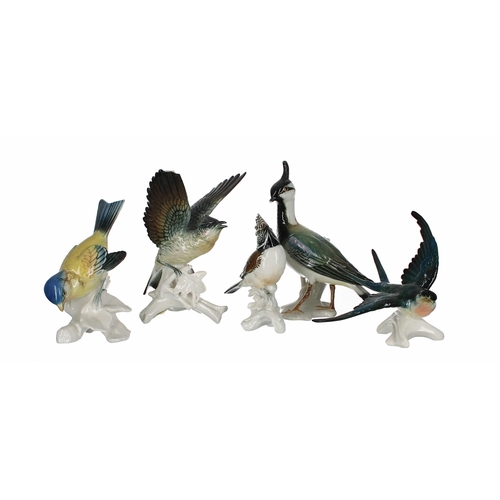 732 - Karl Ens - five porcelain figures of birds, including Swallow in flight no.7530, 5.5