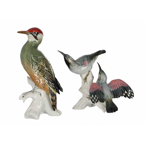 733 - Karl Ens - porcelain figure of a Woodpecker, no.7527, 10