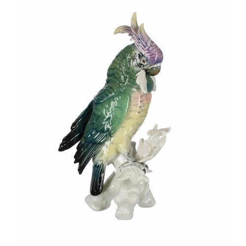 734 - Karl Ens - porcelain figure of a Parrot, 10.5