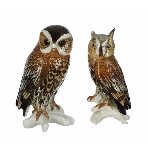 736 - Karl Ens - porcelain figure of an owl, no.7731, 7