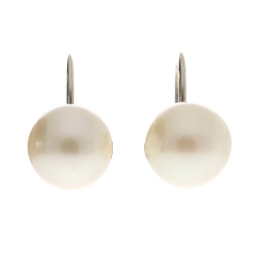 305 - Pair of cultured pearl stud earrings, with white metal screw backs the pearls 8mm approx, 3.1gm... 