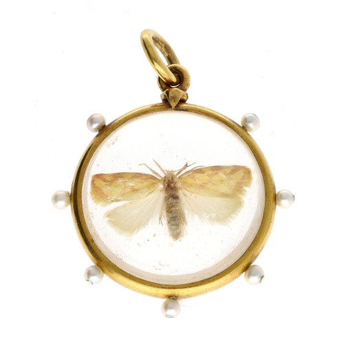 360 - Victorian encased crystal pendant depicting a moth, the yellow metal border set with seven  seed pea... 