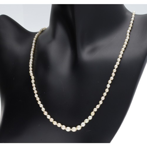 365 - Certified natural saltwater pearl necklace with a rose diamond barrel clasp, oval, round and partial... 