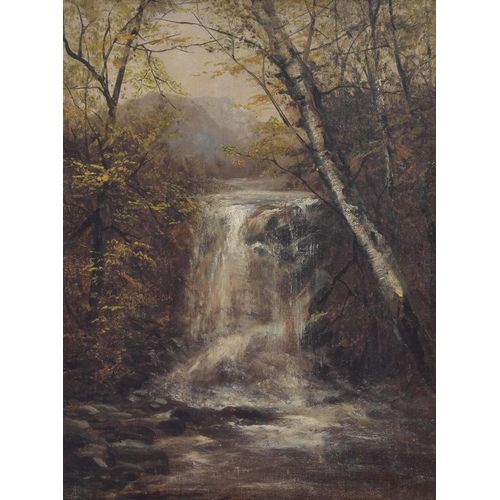 804 - English school (19th century) - Waterfall with silver birch trees, oil on canvas, 16