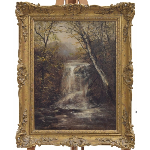 804 - English school (19th century) - Waterfall with silver birch trees, oil on canvas, 16