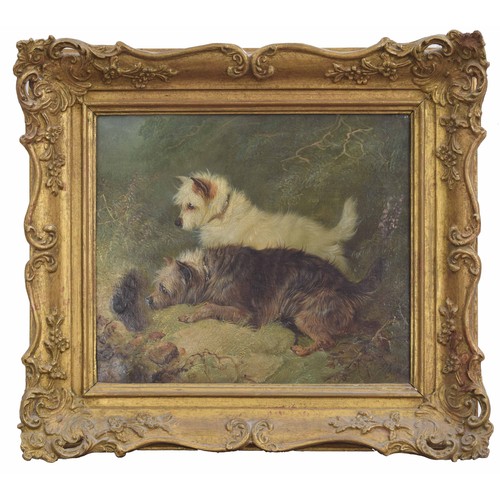 805 - George Armfield (1810-1893) - Two dogs beside a rabbit hole, signed and indistinctly dated, oil on c... 