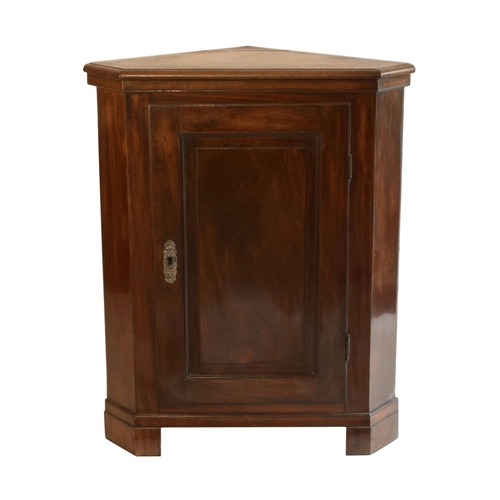 1769 - 19th century mahogany standing corner cupboard, the moulded top over a fielded panelled door enclosi... 