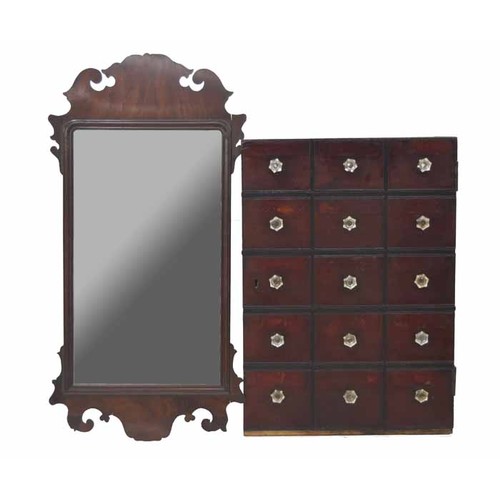 1608 - Interesting stained and ebonised mahogany cupboard door, with faux apothecary style drawer fronts wi... 