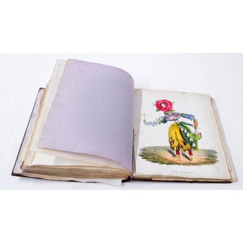 663 - English school (19th century) - An interesting album of pencil and watercolour studies of various su... 