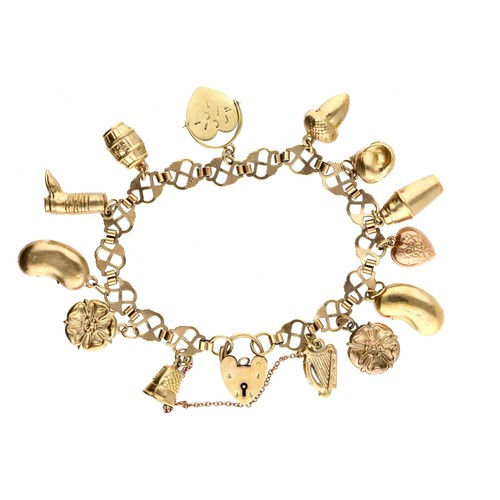 171 - 9ct charm bracelet with assorted charms and a padlock clasp, 18.6gm