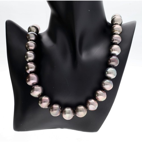 309 - Impressive large Tahiti cultured pearl necklace, the pearls 16.5mm approx, 308gm, 36