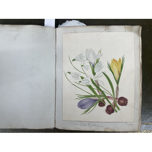 663 - English school (19th century) - An interesting album of pencil and watercolour studies of various su... 