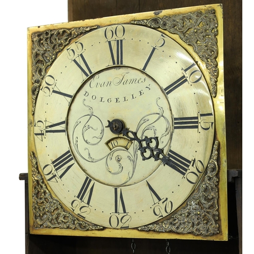 1817 - Irish oak thirty hour longcase clock, the 11