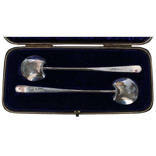 587 - Cased pair of Art Nouveau style silver coffee spoons, maker Lee & Wigfull, Sheffield 1903, 5.5