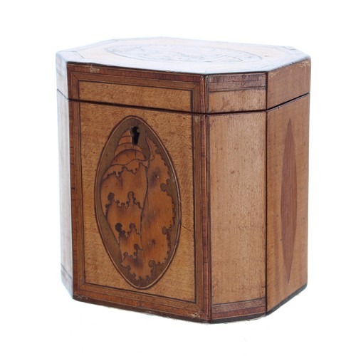 1265 - George III satinwood cross banded tea caddy, of rectangular form with canted corners, the hinged cov... 