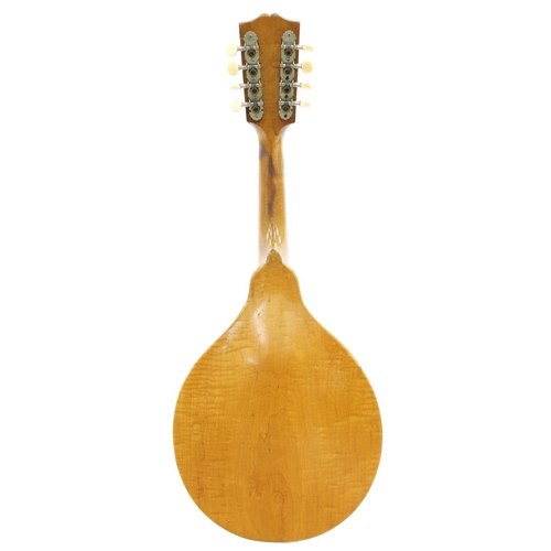 2561 - Kalamazoo pear shaped mandolin, with maple back and sides, faux tortoiseshell banded spruce table an... 