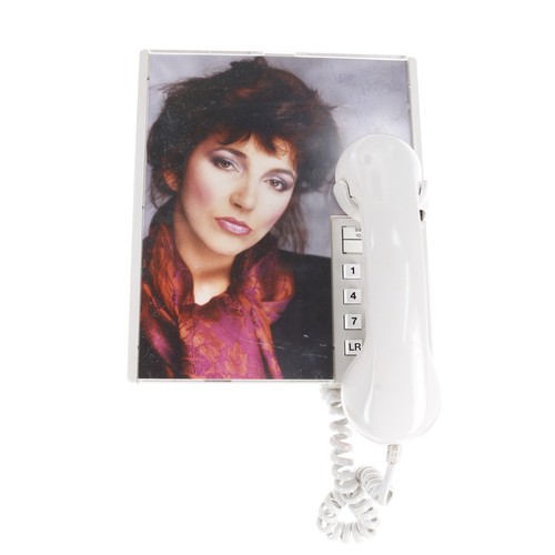 441 - Kate Bush - autographed vintage wall mounted telephone, signed by Kate Bush to the photo insert... 