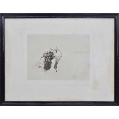 Lot 53        