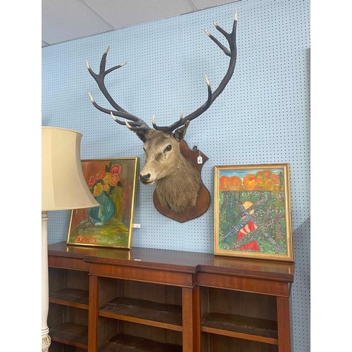 Lot 26        