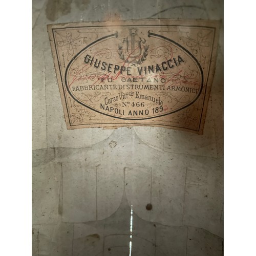 2550 - Neapolitan mandolin labelled ...Vinaccia... pl S.M La Regina d'Italia Rua Catalana No.53 Napoli Anno... 