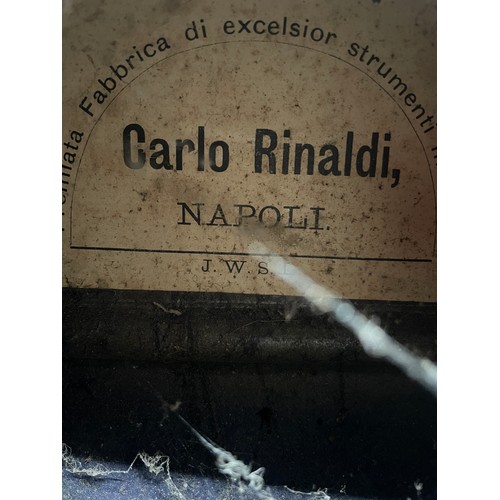 2551 - Neapolitan mandolin labelled... Pasqle Angara and Pasqle D'Isanto, Allievi di Vinaccia... Anno 1899;... 