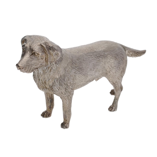 543 - B S E Products silver Labrador dog model, hallmarked London 2012, 3