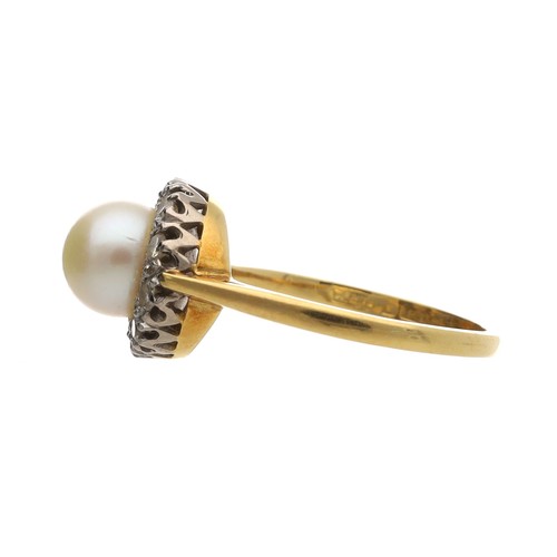 61 - Attractive 18ct cultured pearl and diamond cluster ring, the pearl 7mm in a round brilliant-cut bord... 
