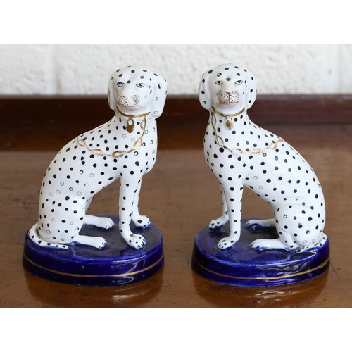121 - Pair of Staffordshire models of Dalmations, with gilt collars and chains, on blue washed oval bases,... 