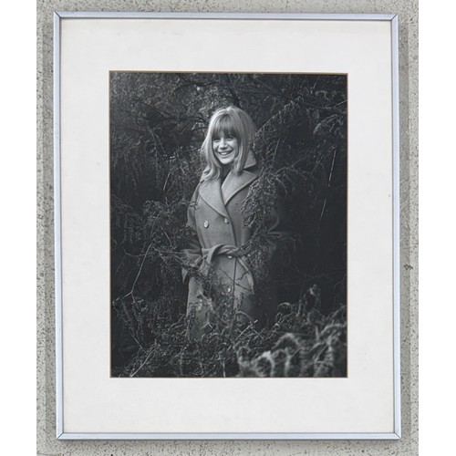34 - Gered Mankowitz (born 1946) - Marianne Faithfull 'In the Bushes', 1964, printed 1981, bromide print,... 