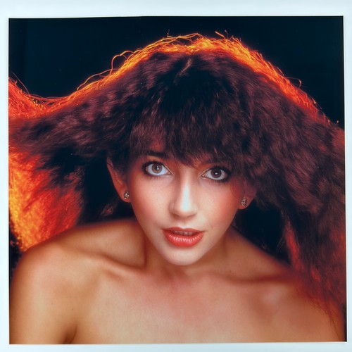 58 - Gered Mankowitz (born 1946) - Kate Bush, 1978 - 1979, printed later, twenty-four black and white (on... 