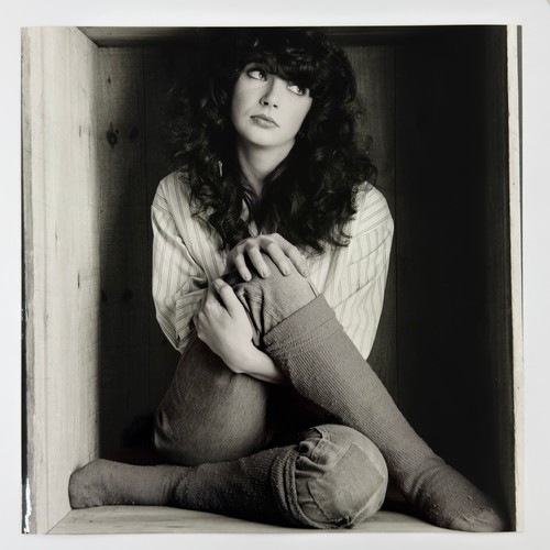 58 - Gered Mankowitz (born 1946) - Kate Bush, 1978 - 1979, printed later, twenty-four black and white (on... 