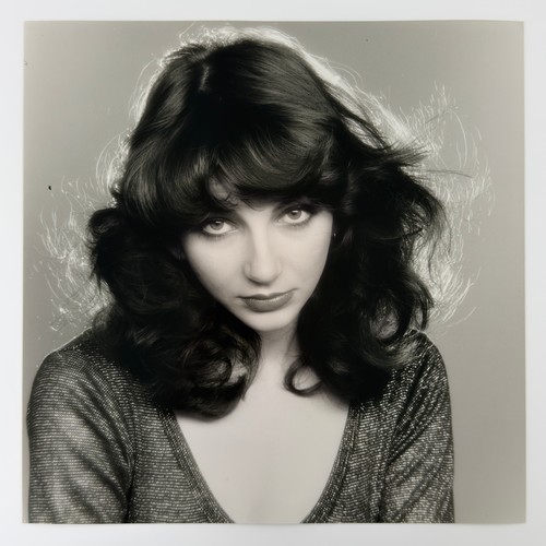 58 - Gered Mankowitz (born 1946) - Kate Bush, 1978 - 1979, printed later, twenty-four black and white (on... 