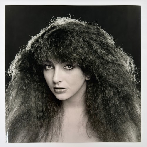 58 - Gered Mankowitz (born 1946) - Kate Bush, 1978 - 1979, printed later, twenty-four black and white (on... 