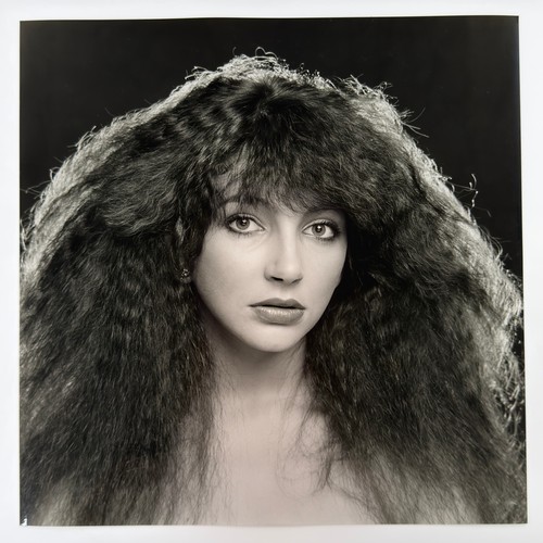 58 - Gered Mankowitz (born 1946) - Kate Bush, 1978 - 1979, printed later, twenty-four black and white (on... 