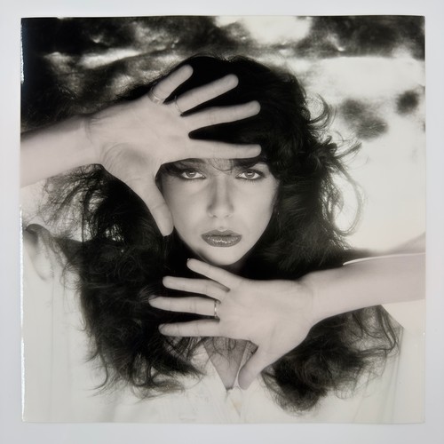 58 - Gered Mankowitz (born 1946) - Kate Bush, 1978 - 1979, printed later, twenty-four black and white (on... 