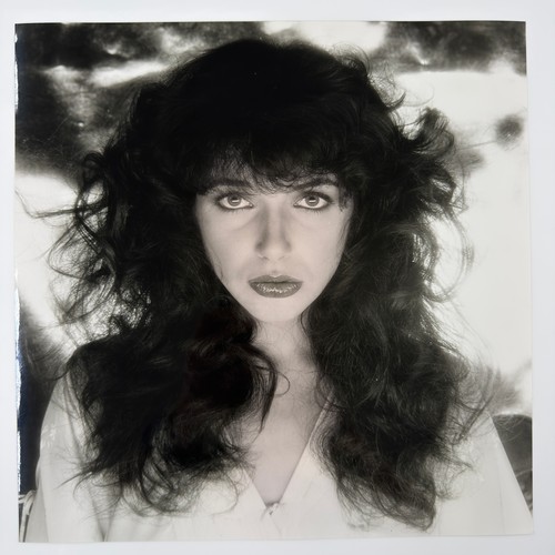 58 - Gered Mankowitz (born 1946) - Kate Bush, 1978 - 1979, printed later, twenty-four black and white (on... 