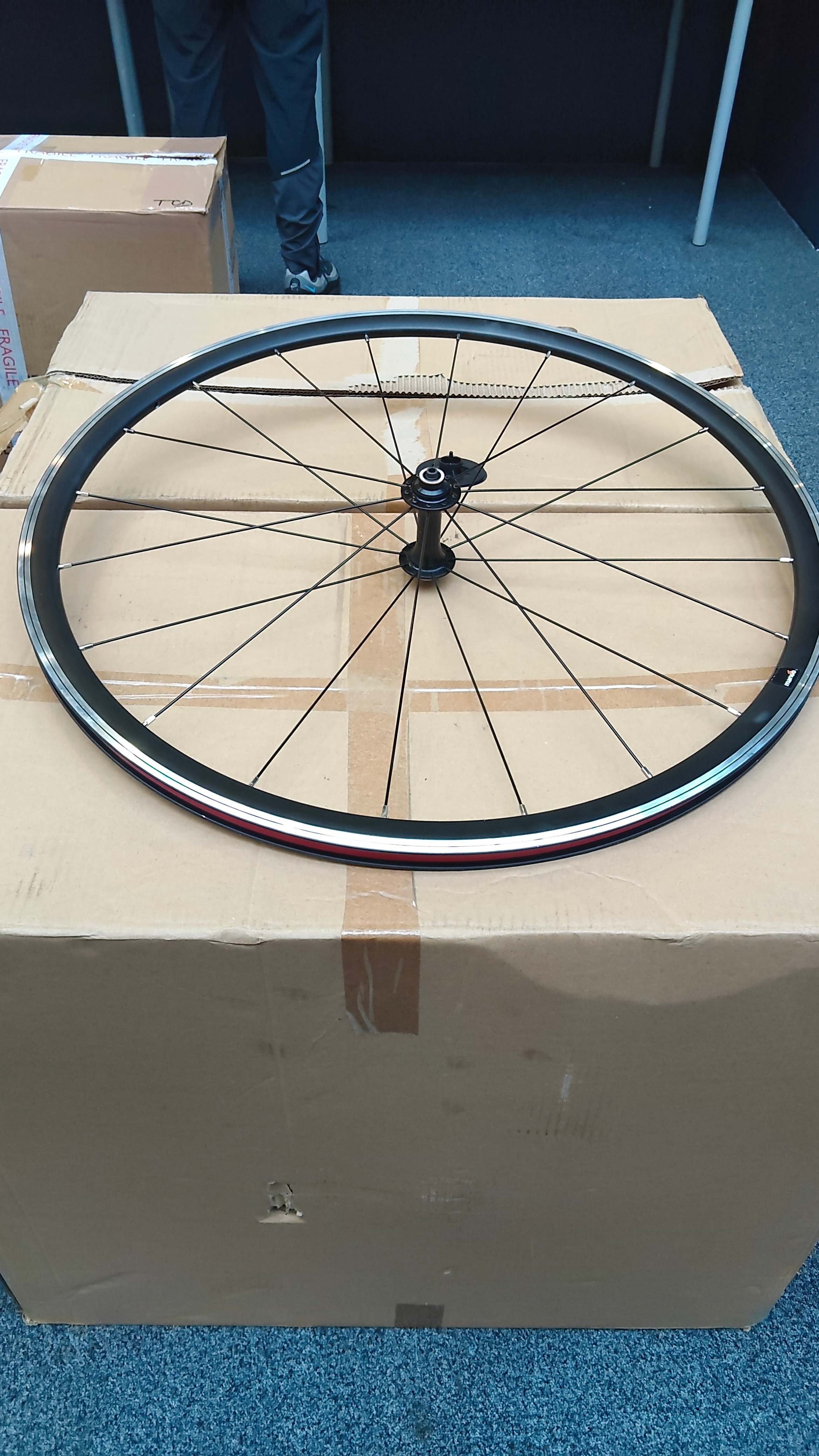 2 Boxes Of Mango Chasewood New Wheels 6 Per Box