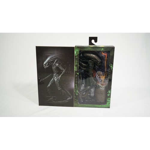 Lot 23        