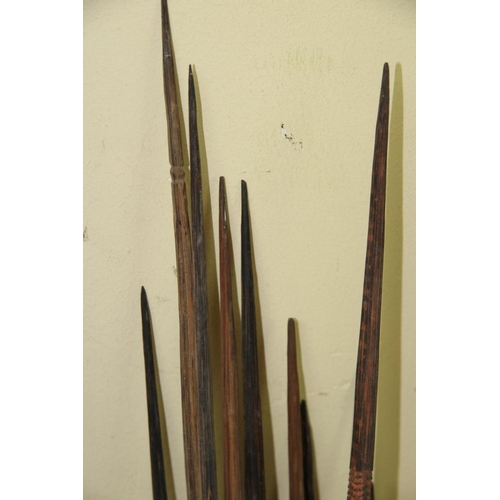 2020 - Oceanic: a group of fifteen South Sea Islands arrows, some painted, approx 127cm long.