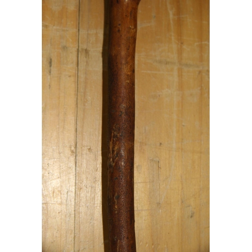 2046 - African: a small knobkerrie, 39cm long.